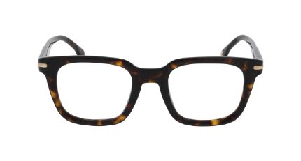 CARRERA 361