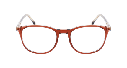 CARRERA 1131
