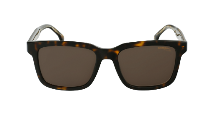 CARRERA 251/S