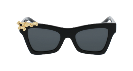 MOD. 4434 SUN