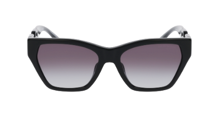 MOD. 4203U SUN