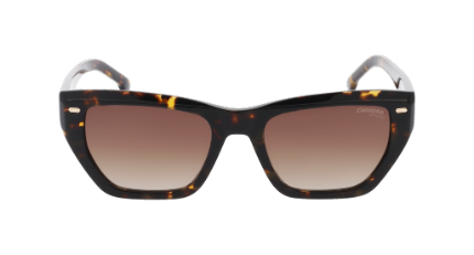 CARRERA 3081/S