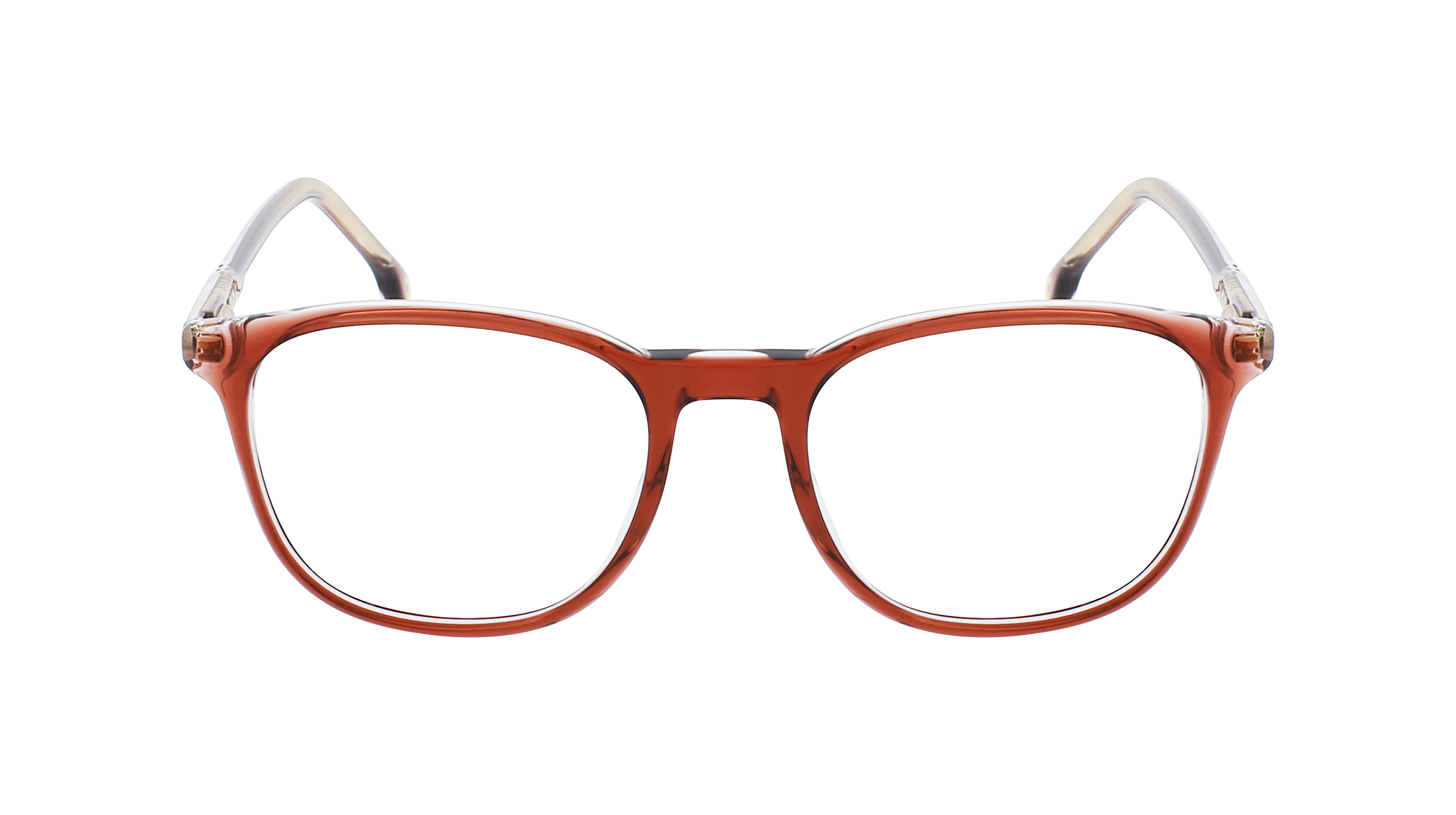 CARRERA 1131