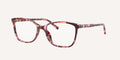 Dolce & Gabbana | 0DG3424