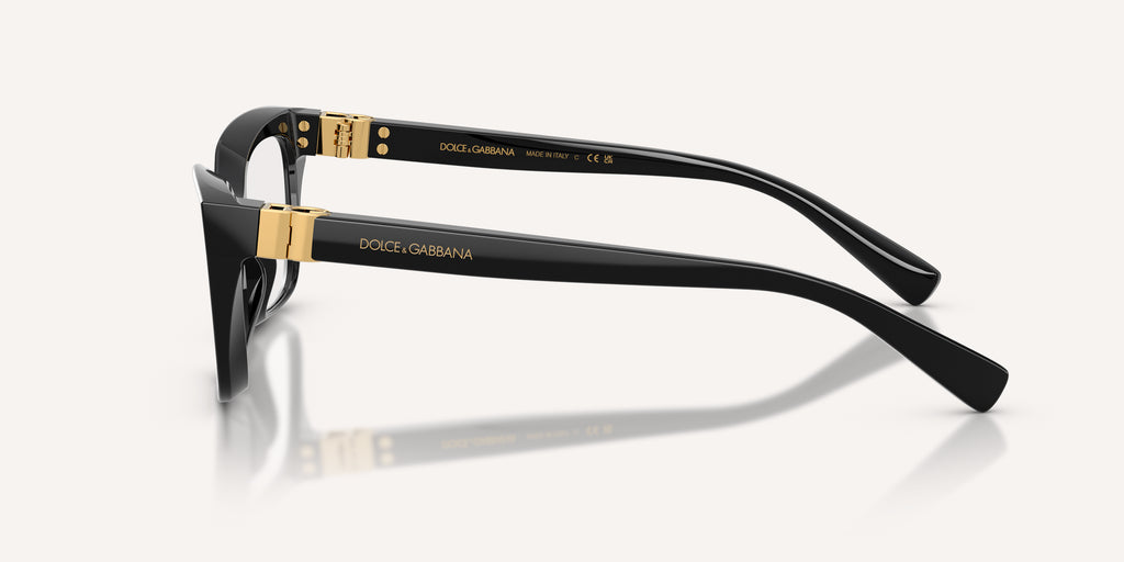Dolce & Gabbana | 0DG3436