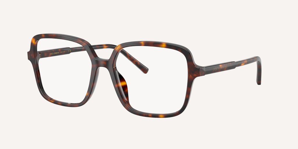 Dolce & Gabbana | 0DG3442