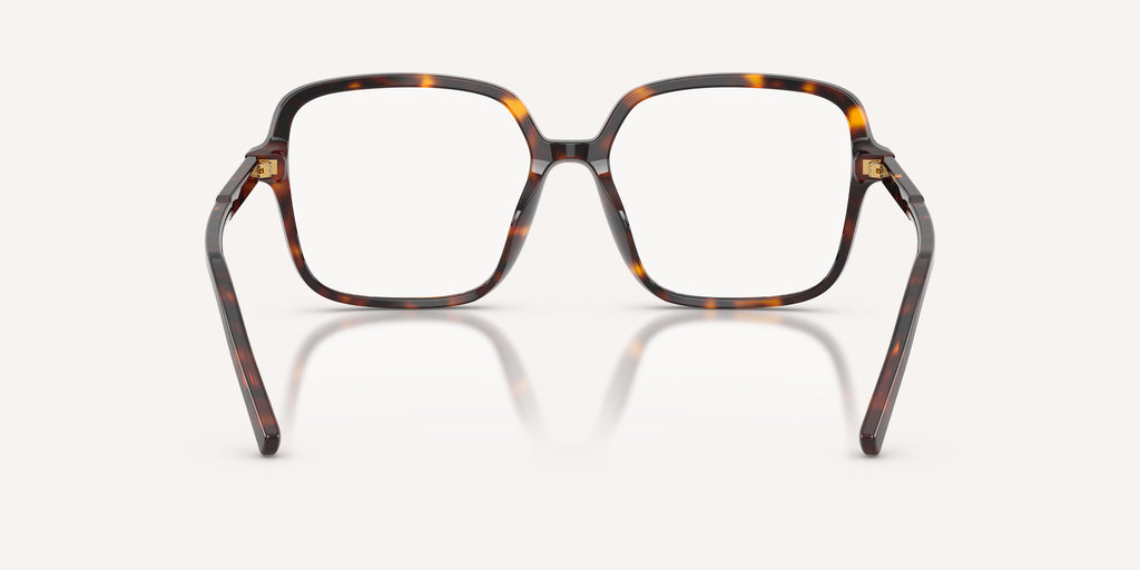 Dolce & Gabbana | 0DG3442
