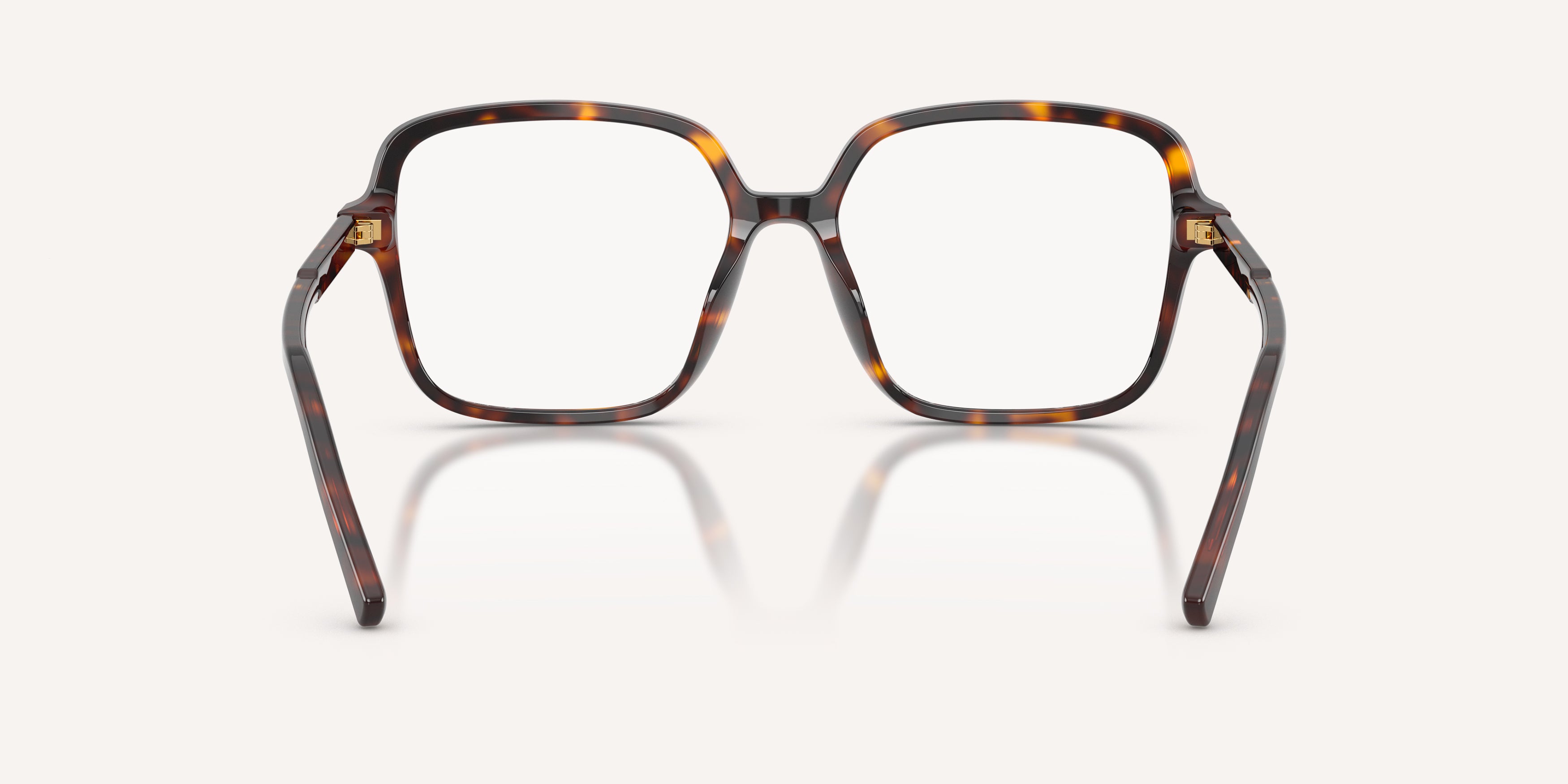Dolce & Gabbana | 0DG3442