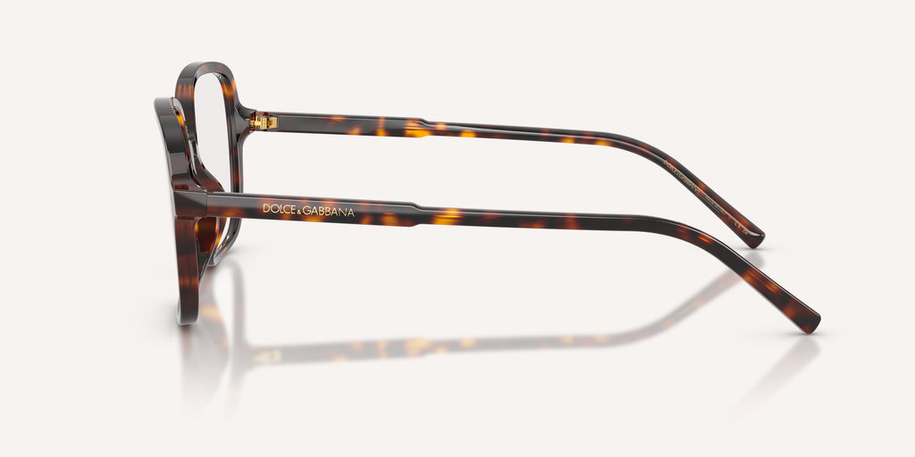 Dolce & Gabbana | 0DG3442