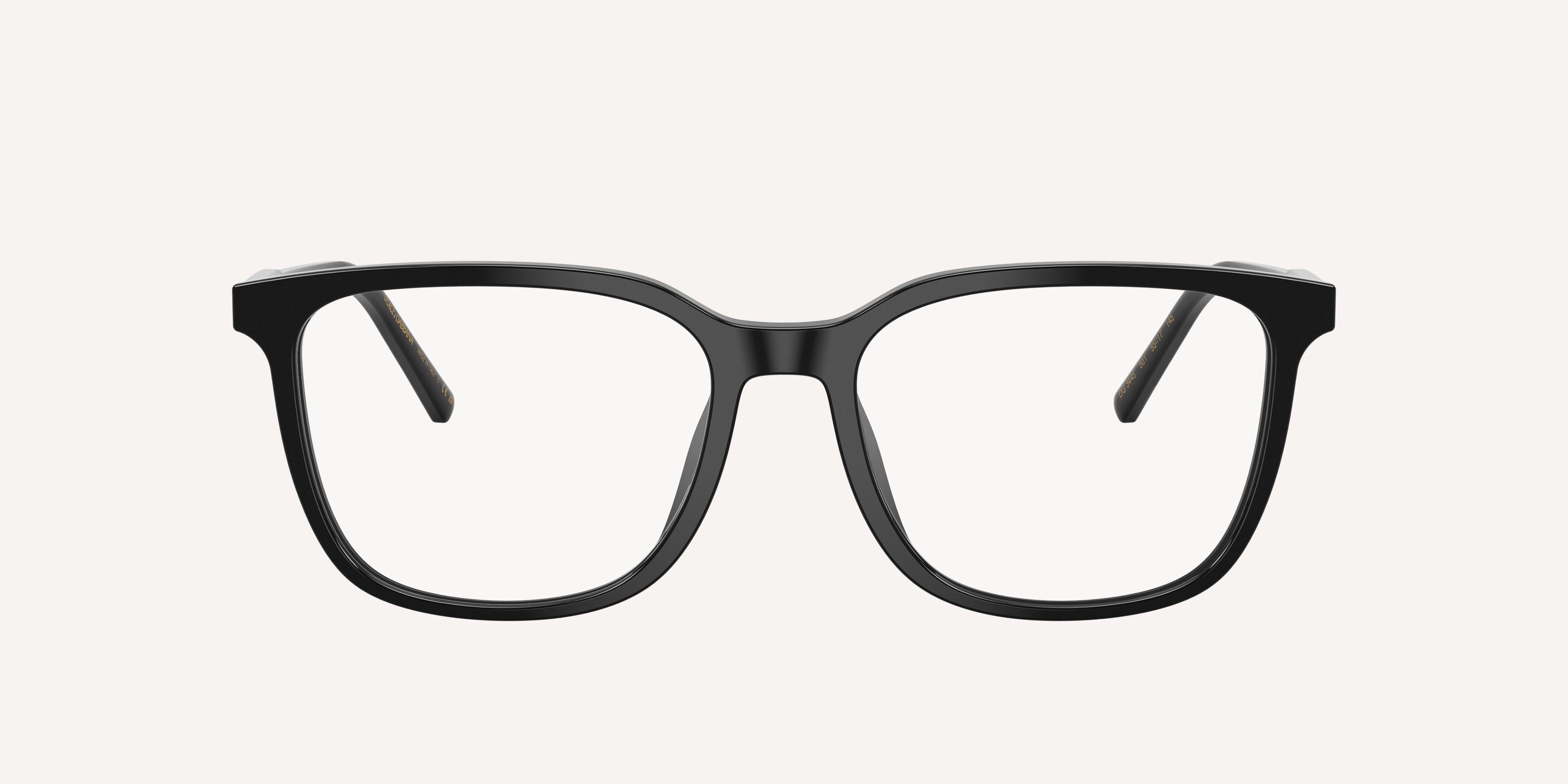 Dolce & Gabbana | 0DG3445