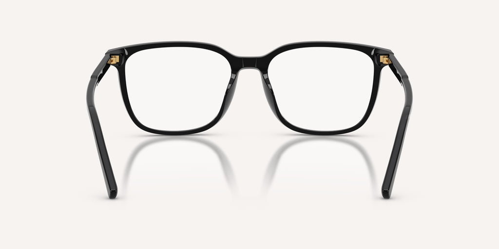 Dolce & Gabbana | 0DG3445
