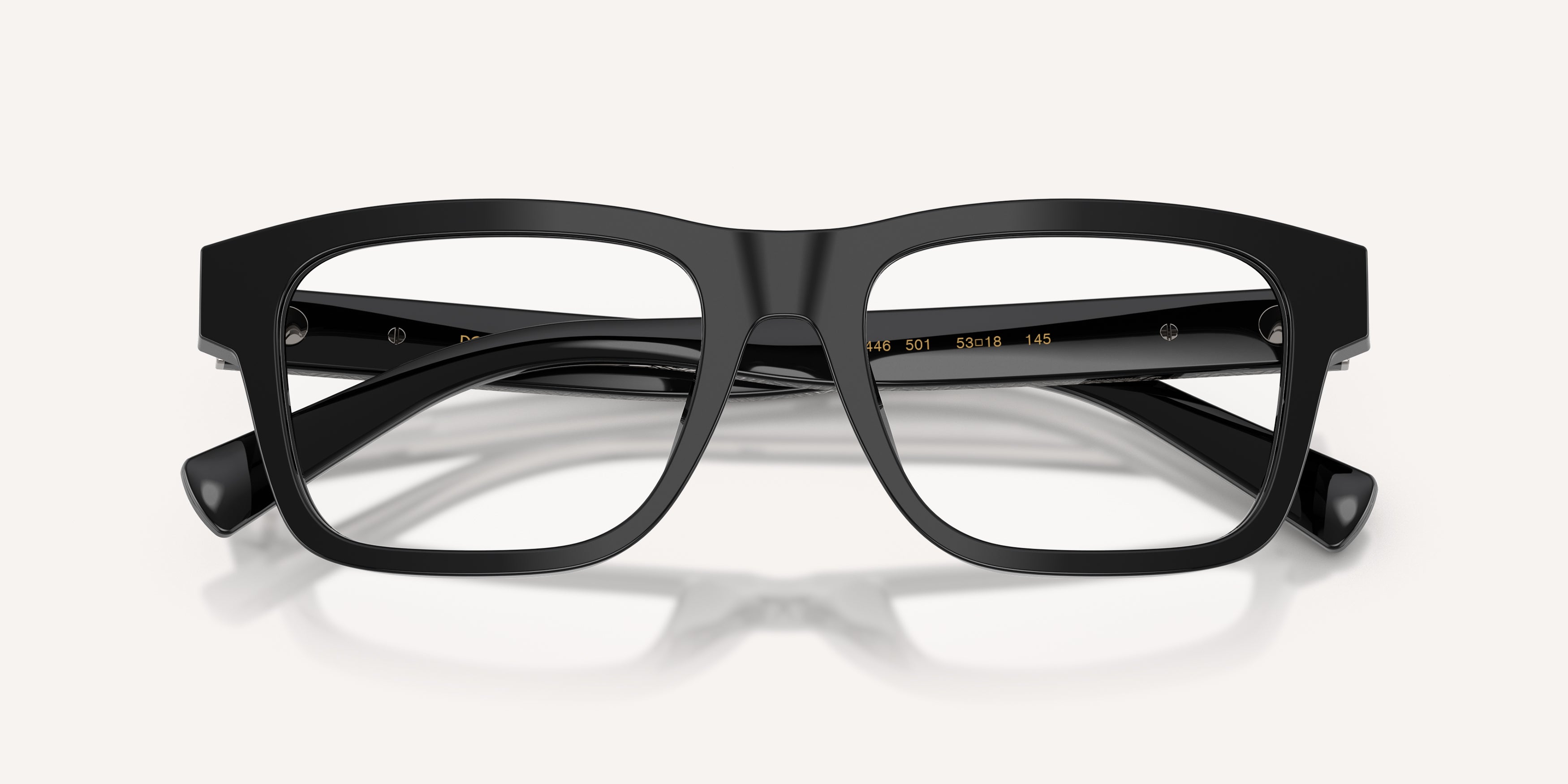 Dolce & Gabbana | 0DG3446