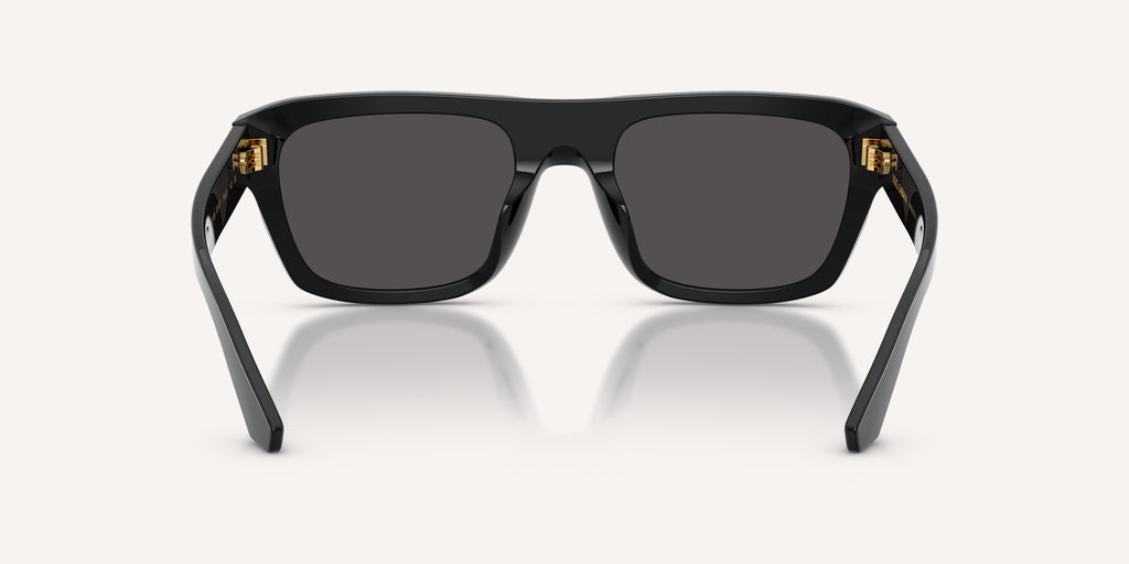 Dolce & Gabbana | 0DG4496