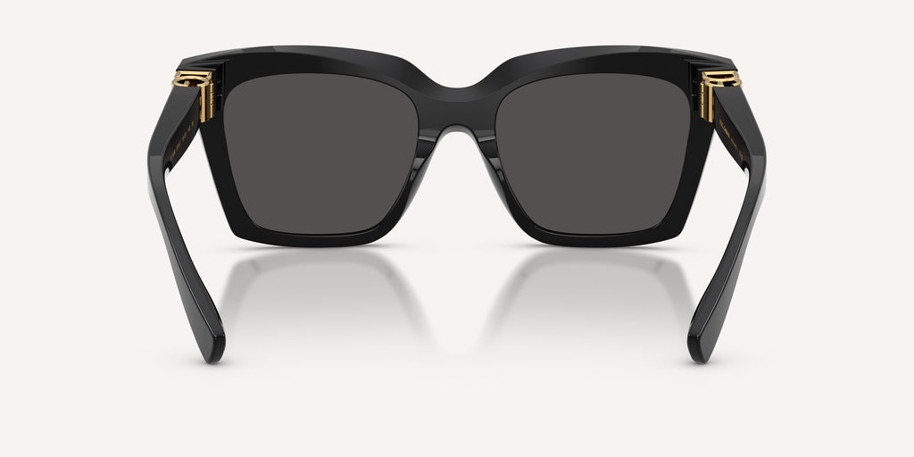 Dolce & Gabbana | 0DG4498