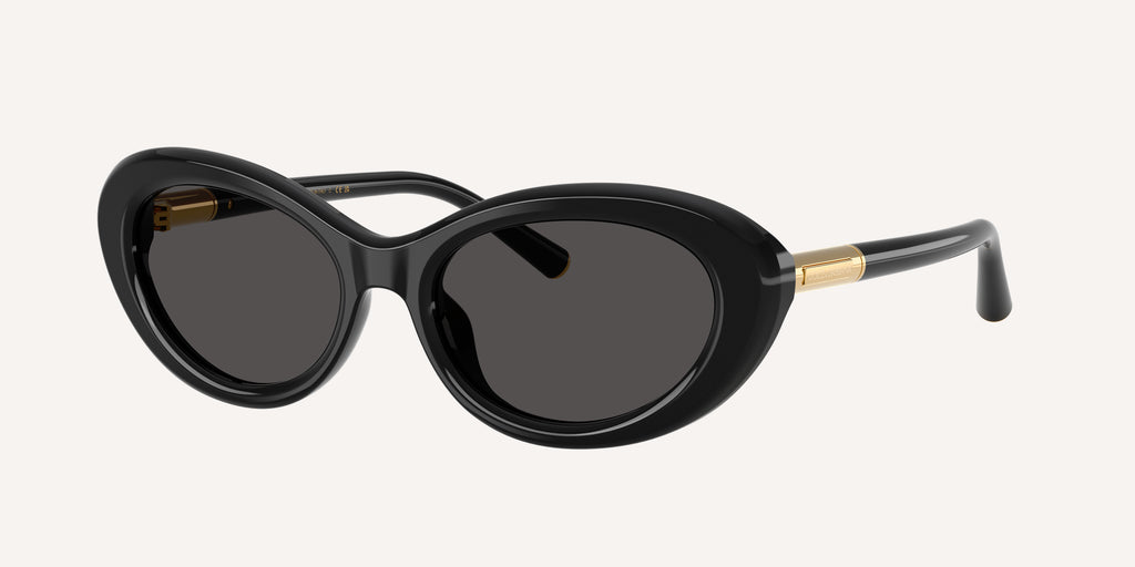 Dolce & Gabbana | 0DG4519