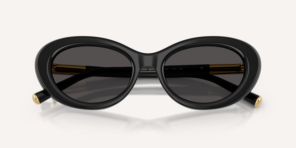 Dolce & Gabbana | 0DG4519