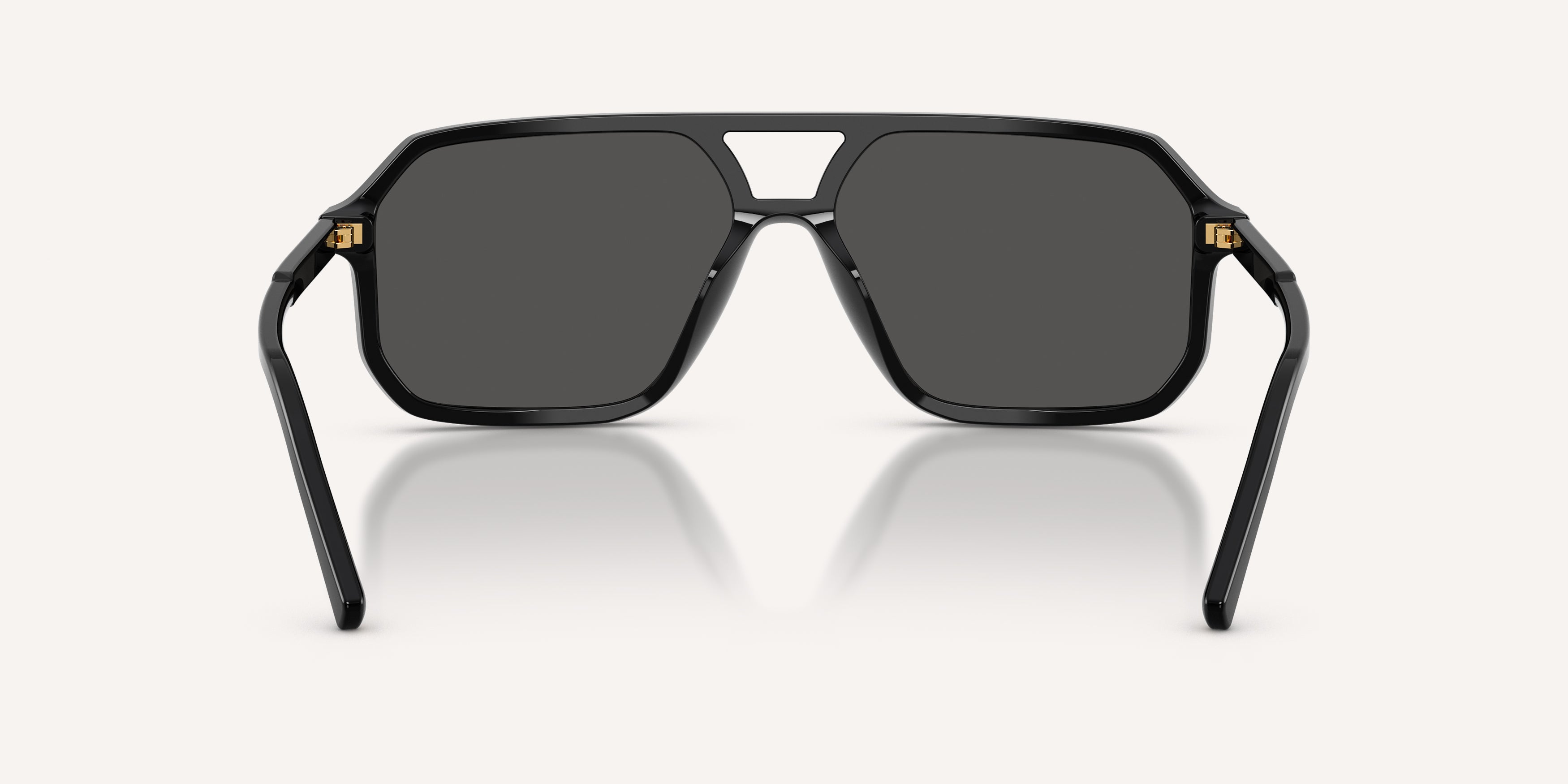Dolce & Gabbana | 0DG4541
