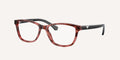 Emporio Armani | 0EA3099