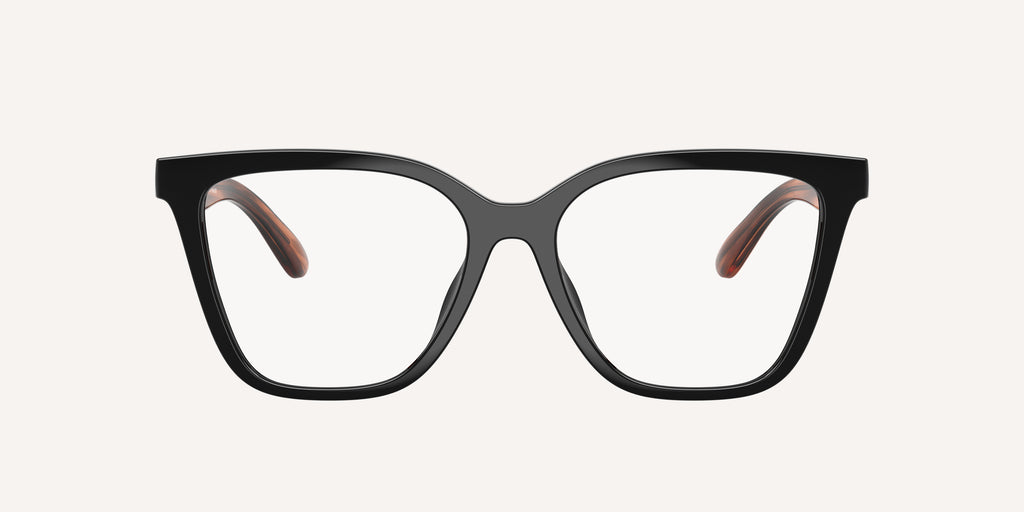 Emporio Armani | 0EA4254U