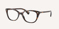 Ralph | 0RA7146
