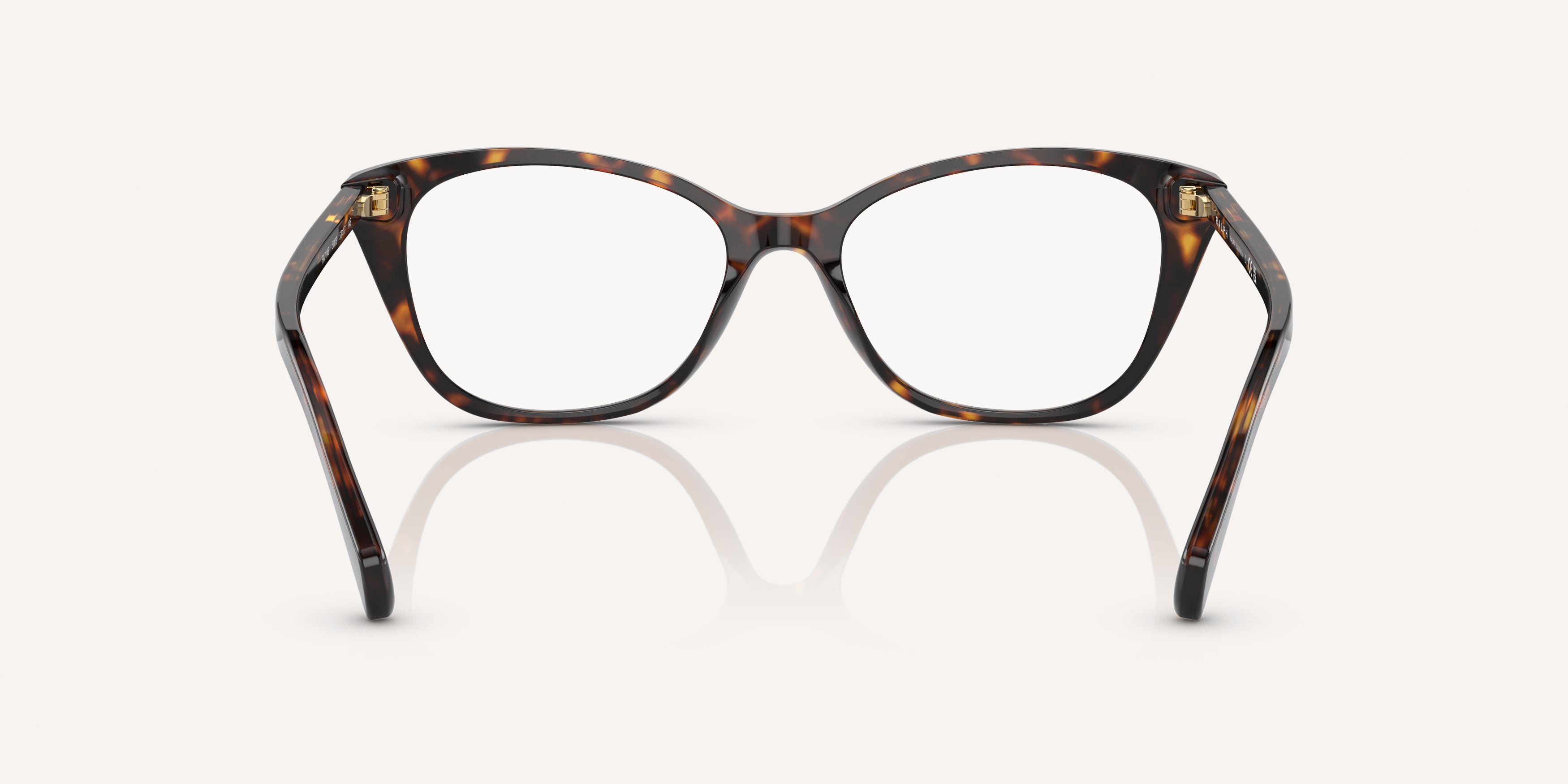 Ralph | 0RA7146