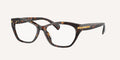Ralph | 0RA7161U