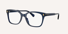 Ralph | 0RA7174U