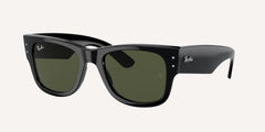 Ray-Ban | 0RB0840S