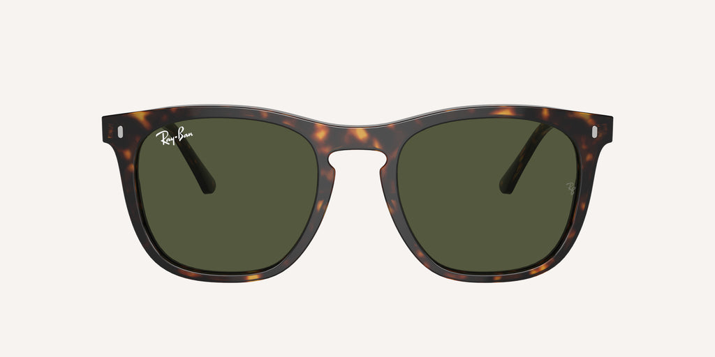 Ray-Ban | 0RB2210