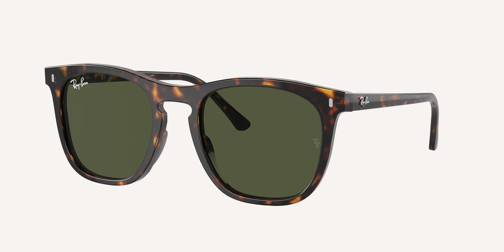 Ray-Ban | 0RB2210