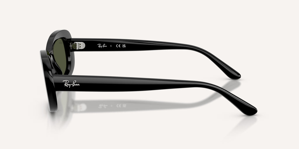 Ray-Ban | 0RB2221