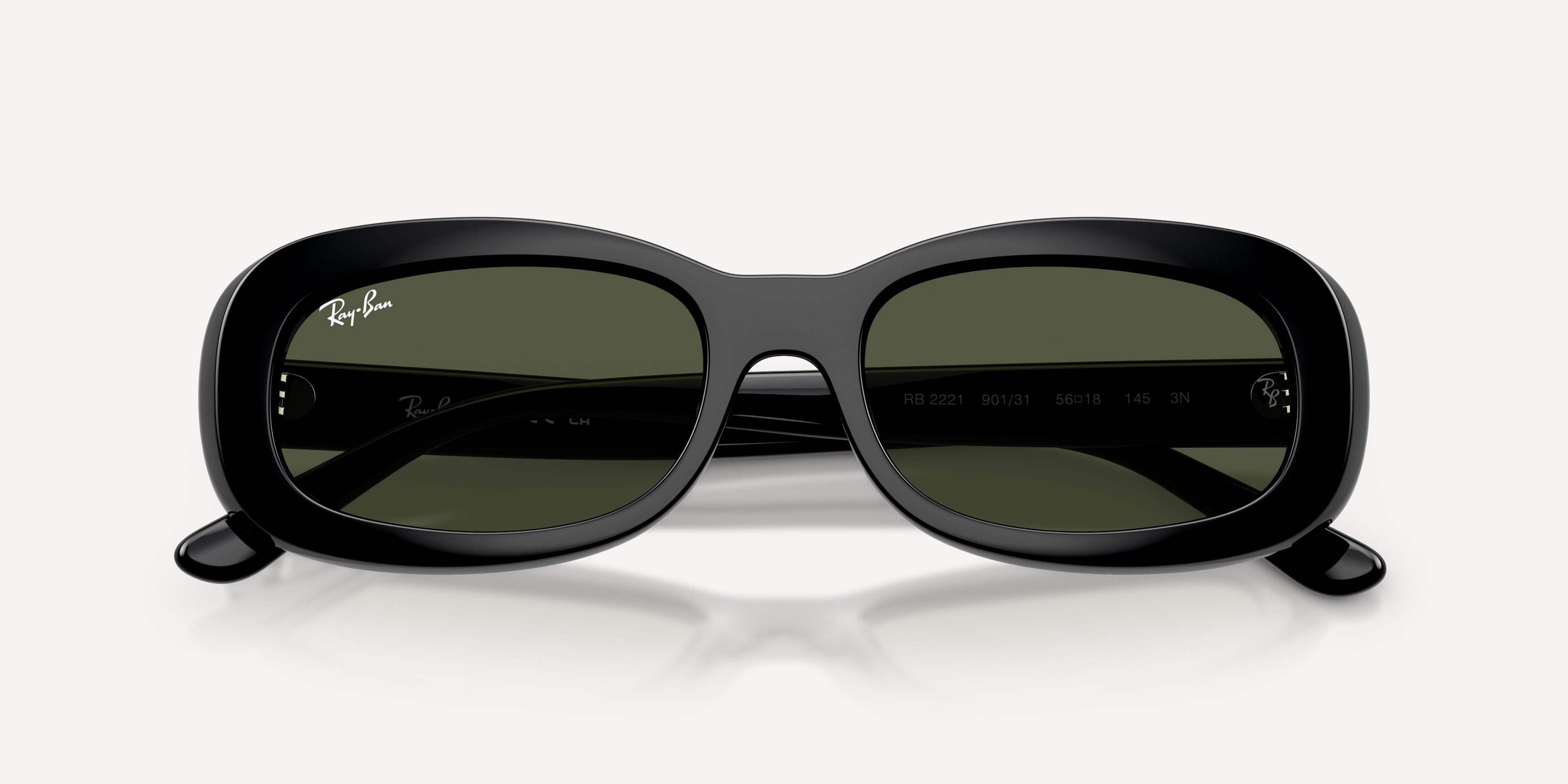 Ray-Ban | 0RB2221