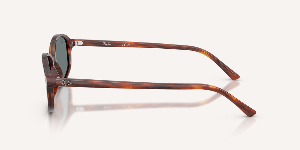 Ray-Ban | 0RB2232