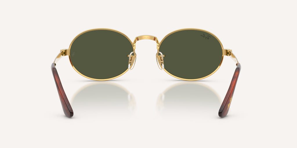 Ray-Ban | 0RB3931