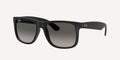 Ray-Ban | 0RB4165