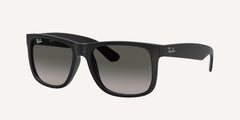 Ray-Ban | 0RB4165