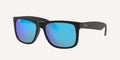 Ray-Ban | 0RB4165
