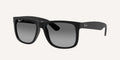 Ray-Ban | 0RB4165