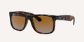Ray-Ban | 0RB4165