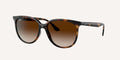 Ray-Ban | 0RB4378
