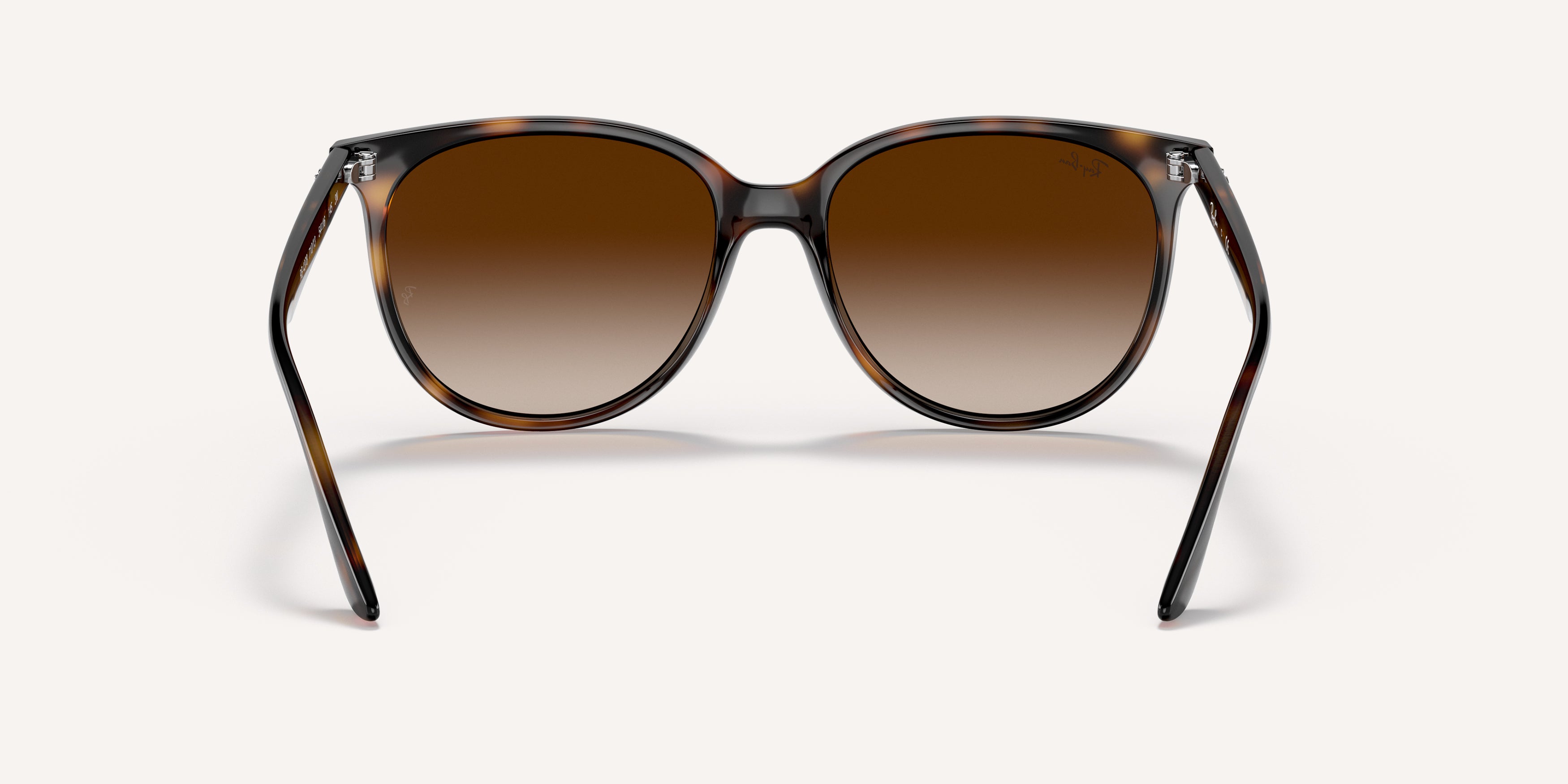Ray-Ban | 0RB4378