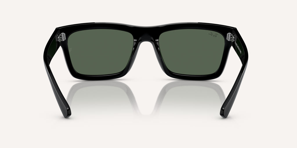 Ray-Ban | 0RB4396
