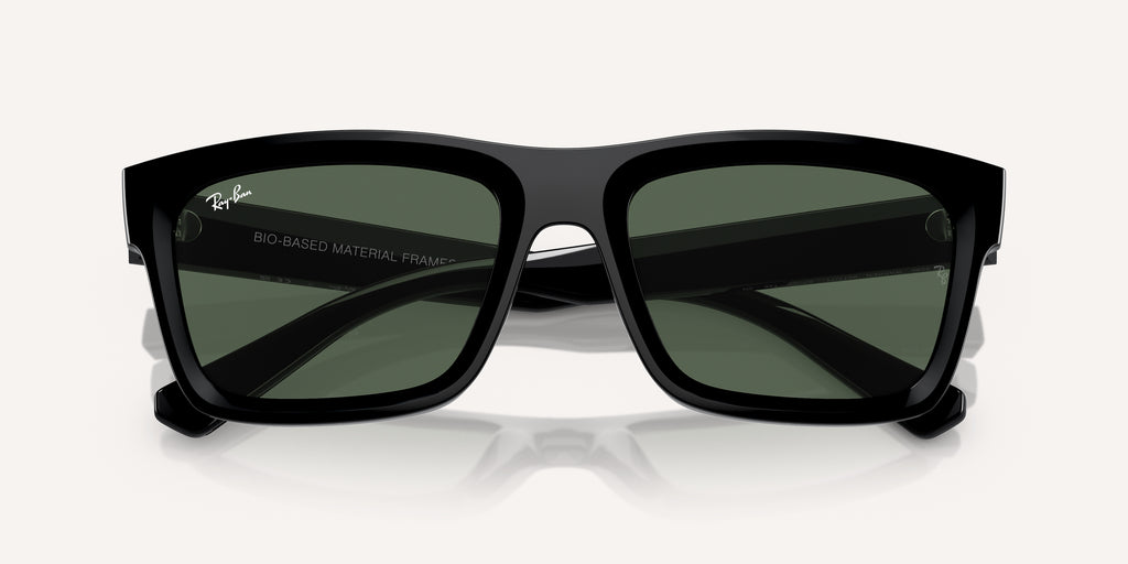 Ray-Ban | 0RB4396