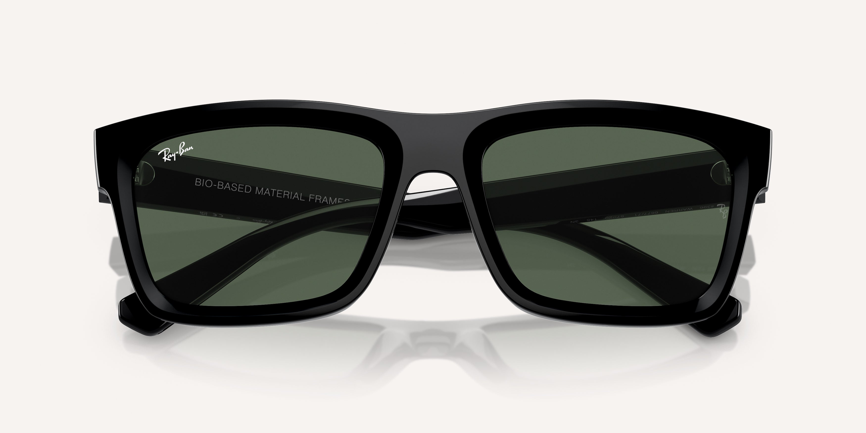 Ray-Ban | 0RB4396