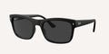 Ray-Ban | 0RB4428