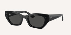 Ray-Ban | 0RB4430