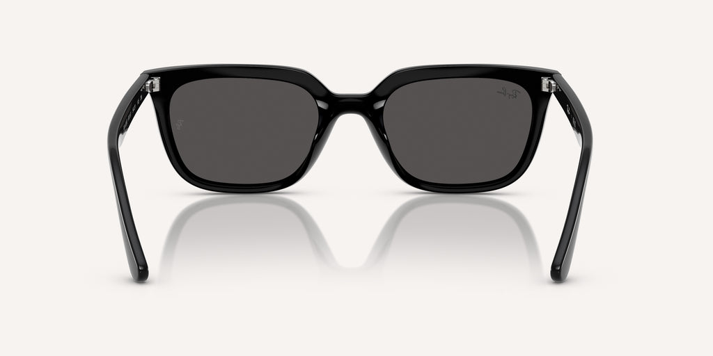 Ray-Ban | 0RB4439D