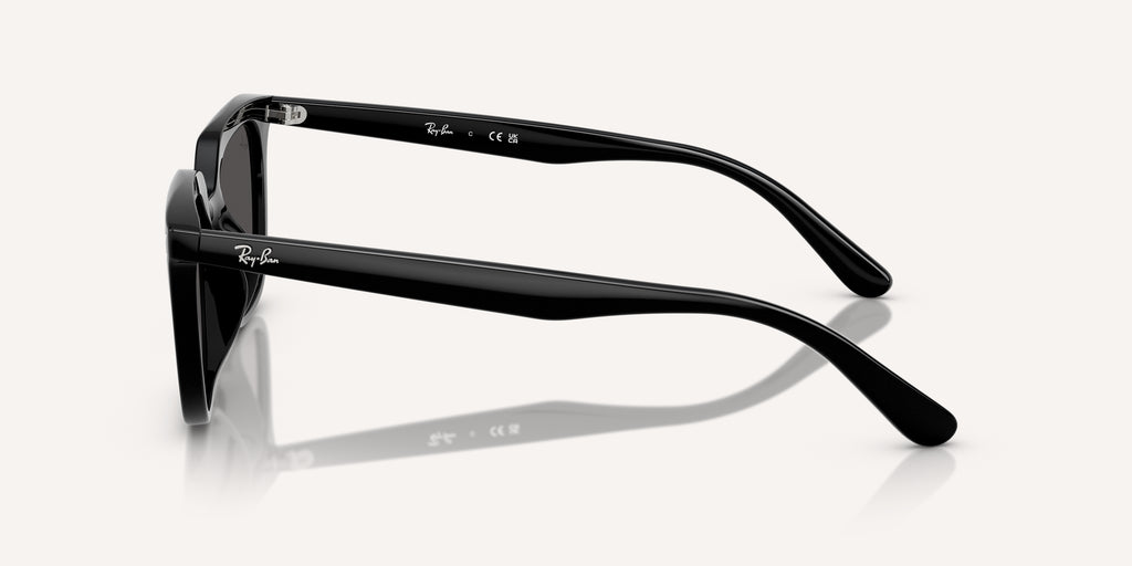 Ray-Ban | 0RB4439D