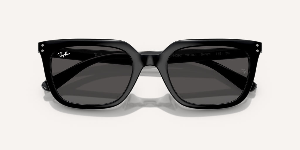 Ray-Ban | 0RB4439D