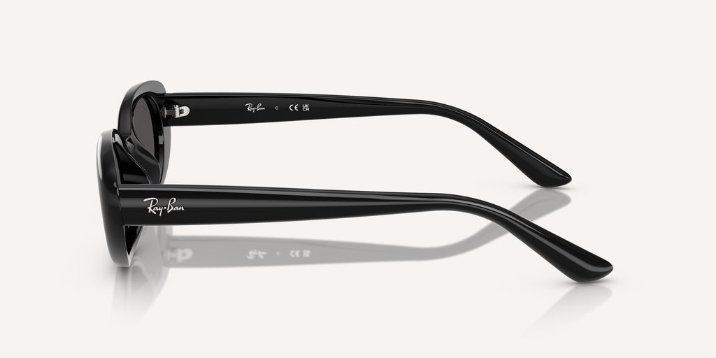 Ray-Ban | 0RB4441D